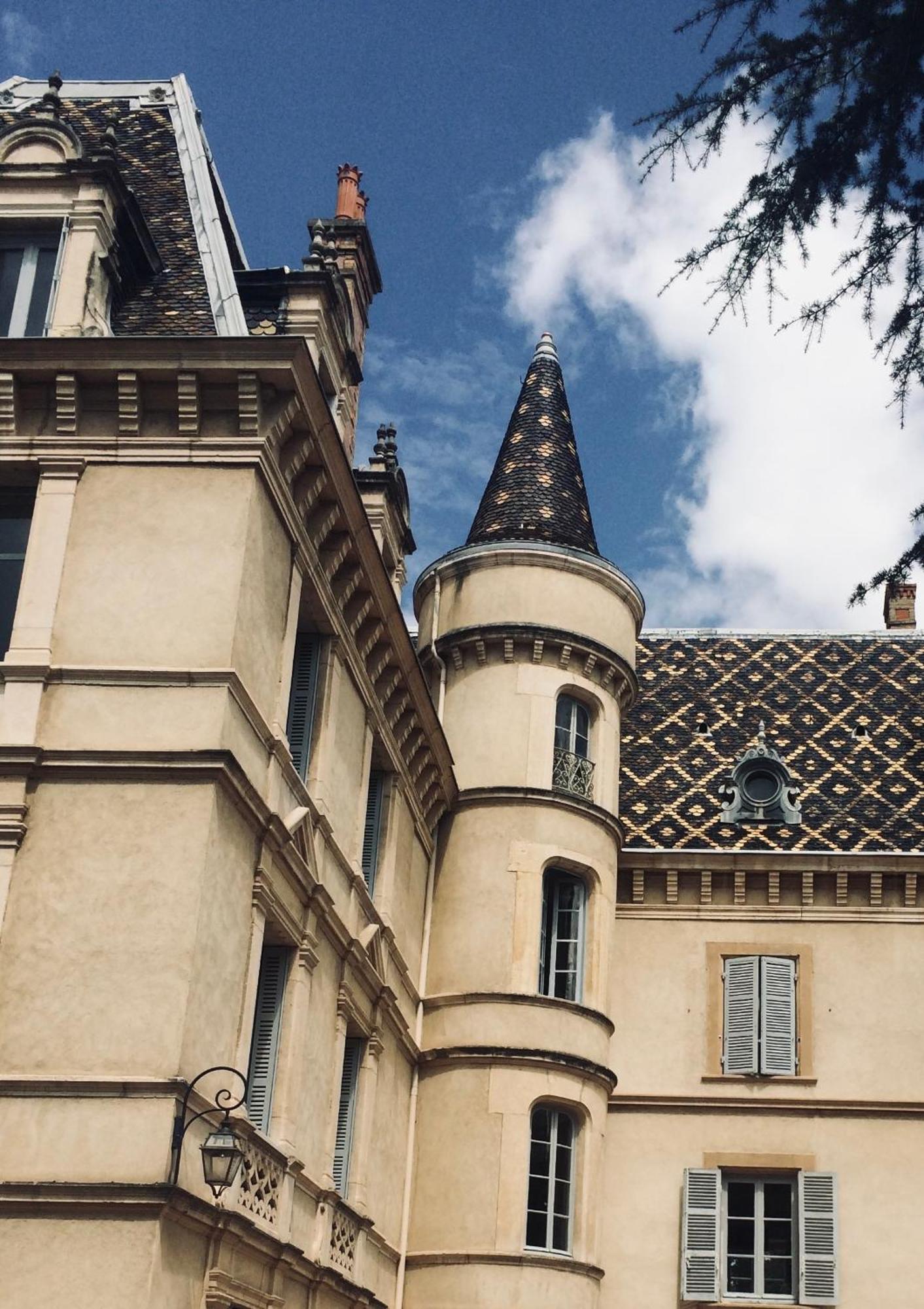 Grand Appartement D'Exception Au Chateau Randin Écully Kültér fotó
