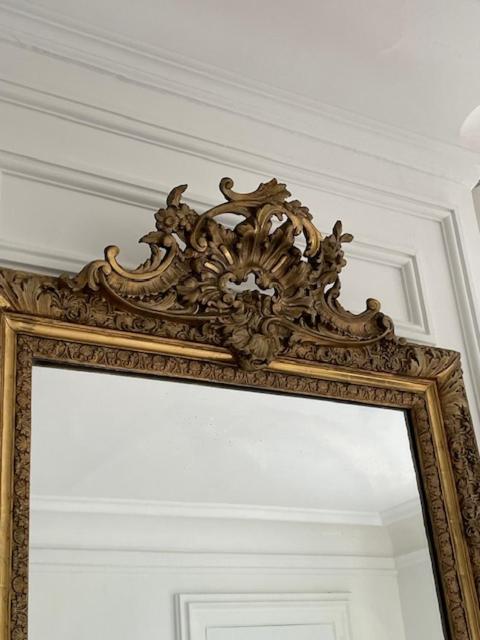 Grand Appartement D'Exception Au Chateau Randin Écully Kültér fotó