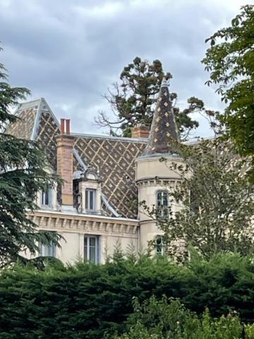 Grand Appartement D'Exception Au Chateau Randin Écully Kültér fotó